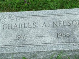 Charles A Nelson (1908680.jpg) Charles A Nelson (1908680.jpg)