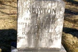 Charles A Newton