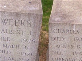Charles A Weeks (1923454.jpg)