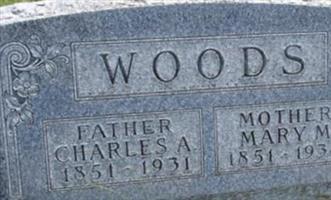 Charles A Woods