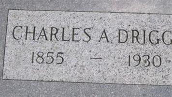 Charles Aaron Driggs