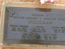 Charles Adelbert Workman