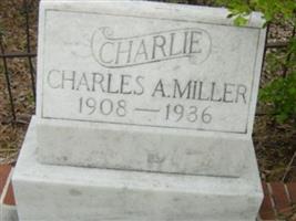 Charles Albert Miller, Jr