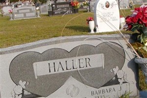 Charles Alden Haller
