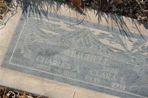 Charles Arthur Mitchell Charles Arthur Mitchell