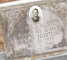 Charles Auston Horton (2208737.jpg)