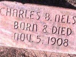 Charles B Nelson Charles B Nelson