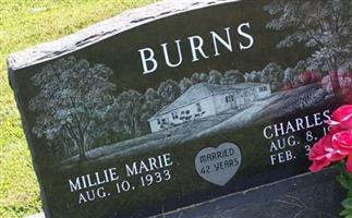 Charles C Burns