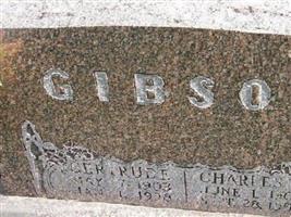 Charles C Gibson