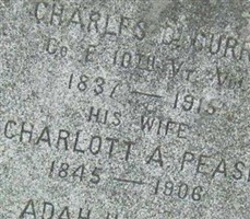 Charles D Currie Charles D Currie