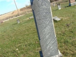 Charles D Widger