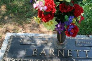 Charles E Barnett, Jr