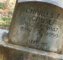 Charles E Gause