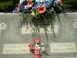 Charles E Payne