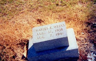 Charles E Weeks