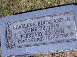 Charles Edward Buckland, Jr