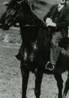 Charles Edward Coe