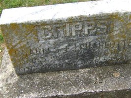 Charles Edward Cripps (2379956.jpg) Charles Edward Cripps (2379956.jpg)