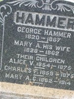 Charles F Hammer Charles F Hammer