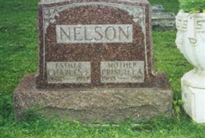 Charles F Nelson