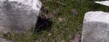 Charles F. Reilly Charles F. Reilly