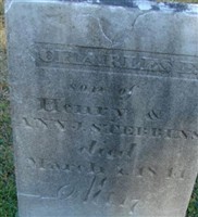 Charles F Stebbins Charles F Stebbins