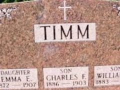 Charles F Timm