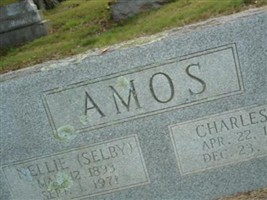Charles H. Amos