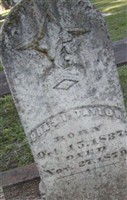 Charles Irion Taylor Charles Irion Taylor