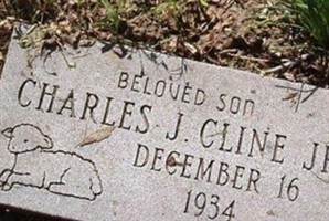 Charles J Cline, Jr Charles J Cline, Jr