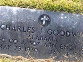 Charles J Goodwin