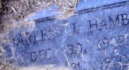 Charles J Hamblin