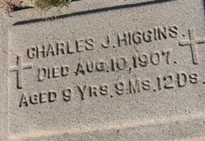 Charles J. Higgins