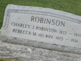 Charles J Robinson