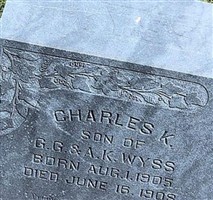 Charles K Wyss