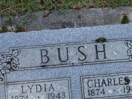 Charles L. Bush