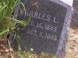 Charles L. Hardy