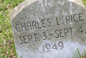 Charles L Rice