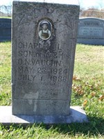 Charles L Vaughn Charles L Vaughn
