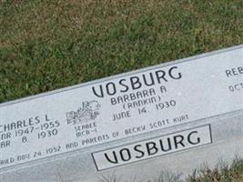 Charles L Vosburg