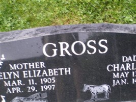 Charles Lee Gross Charles Lee Gross
