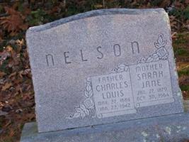 Charles Louis Nelson