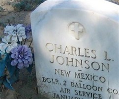 Charles Ludwick Johnson