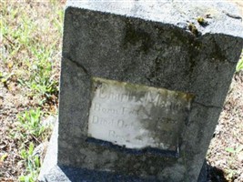 Charles Mantel
