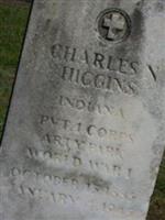 Charles N Higgins