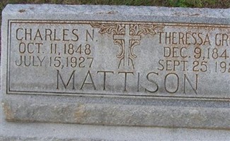 Charles N. Mattison