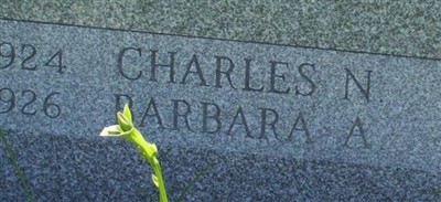 Charles N. Mayo