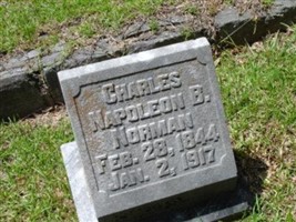 Charles Napolean Bonaparte Norman