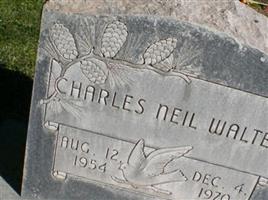 Charles Neil Walter