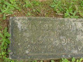 Charles Nesbitt Usery